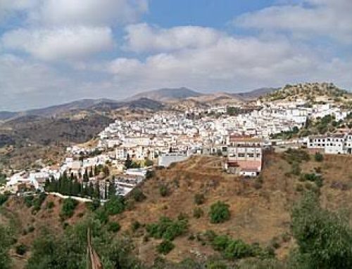Modificación de hora de salida de expedición de la M-250 Málaga-Almogía