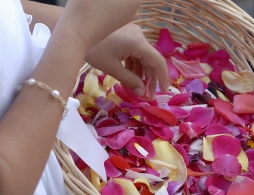 Las procesiones de Corpus Christi de este fin de semana podrán afectar a varias rutas de autobús del Consorcio